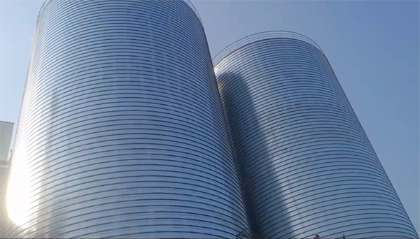 廊坊2座混凝土高架卷板仓